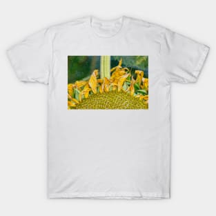 Helianthus Swirlifloris T-Shirt